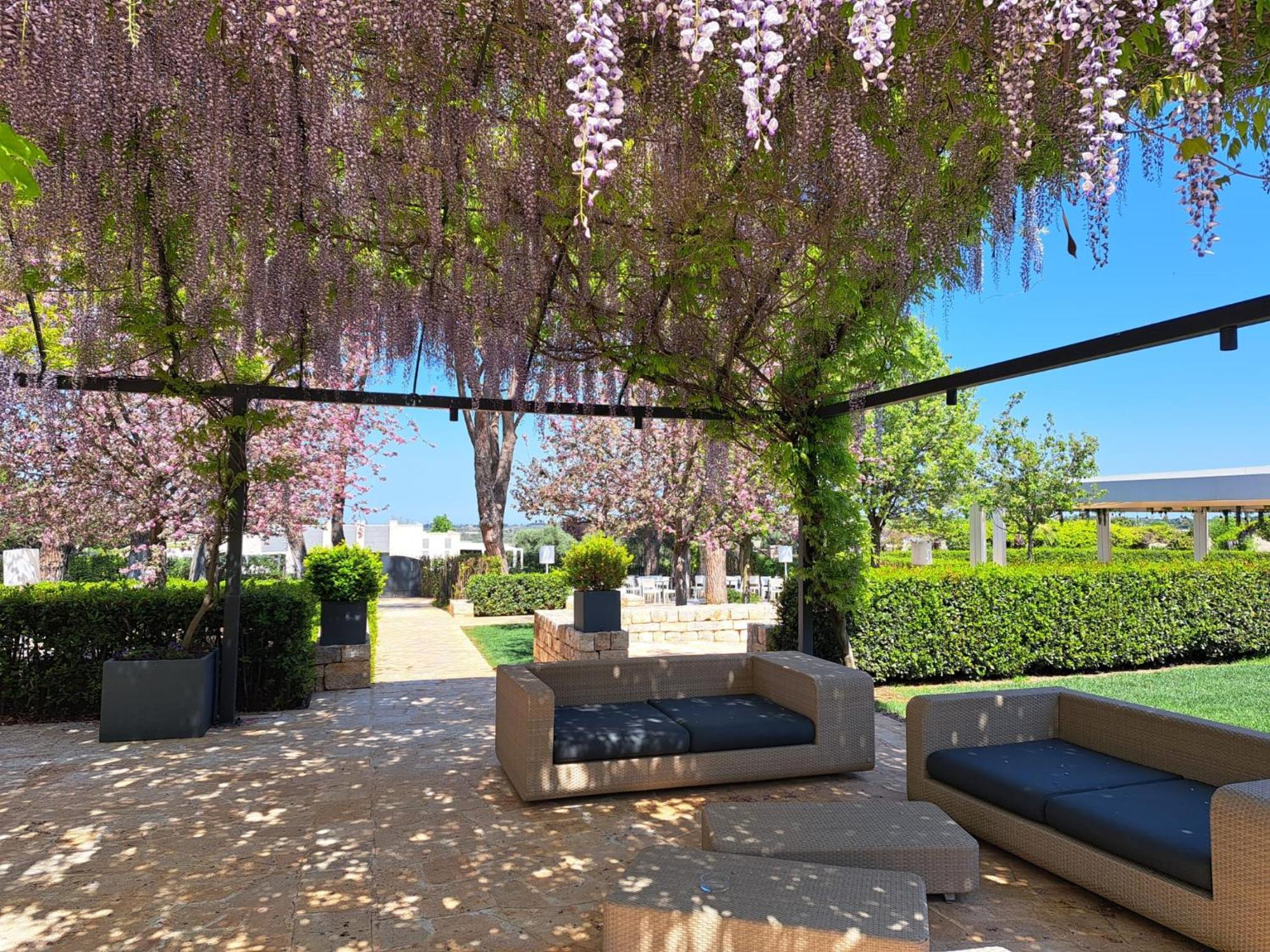 Relais Il Santissimo Hotel Turi Bagian luar foto