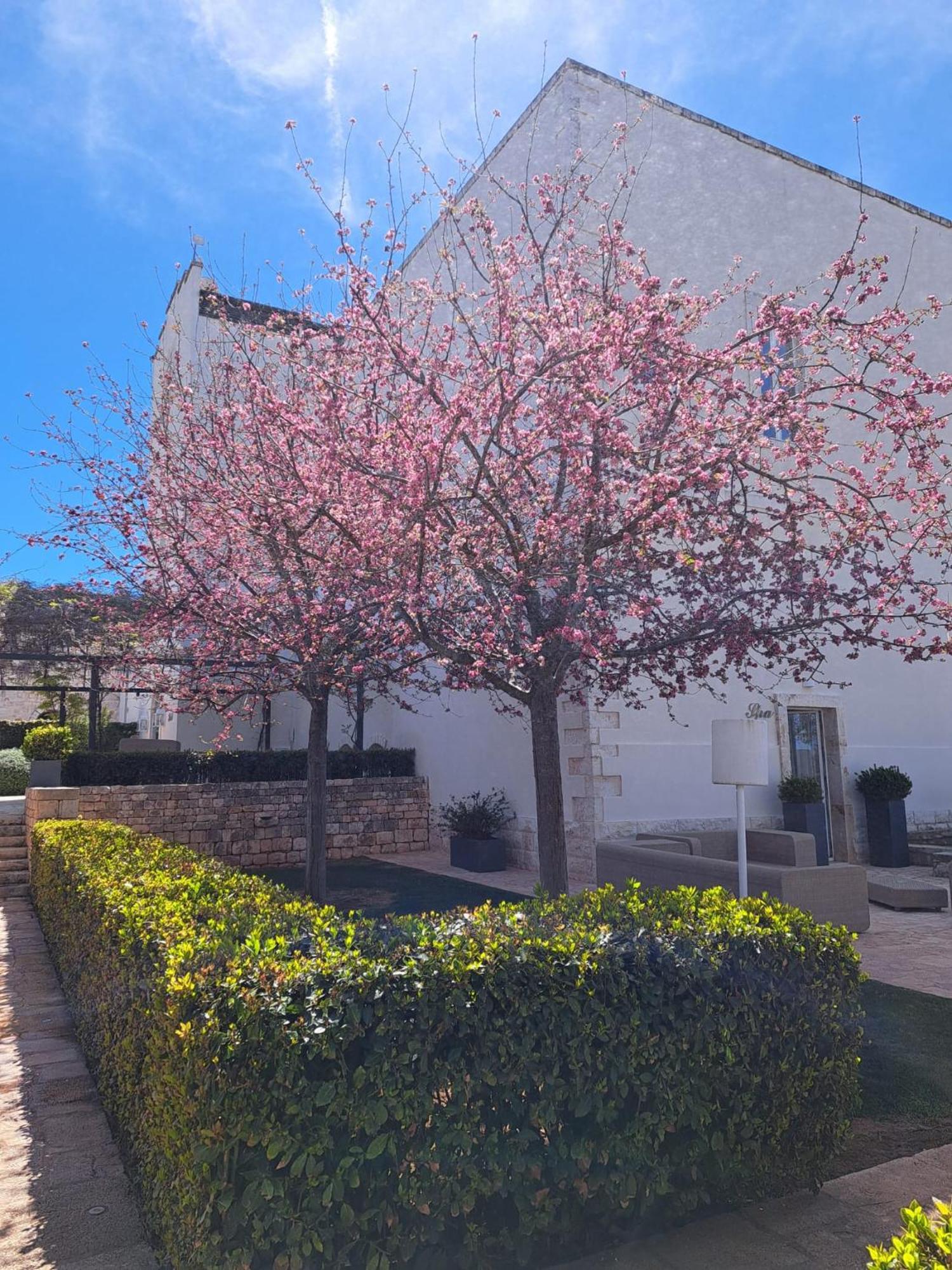 Relais Il Santissimo Hotel Turi Bagian luar foto